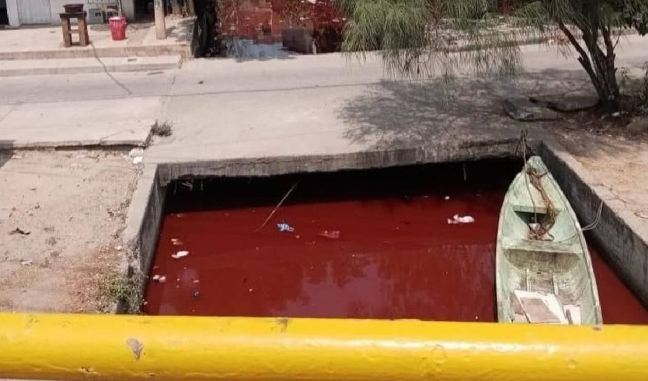 Denuncia de la comunidad de Ceballos