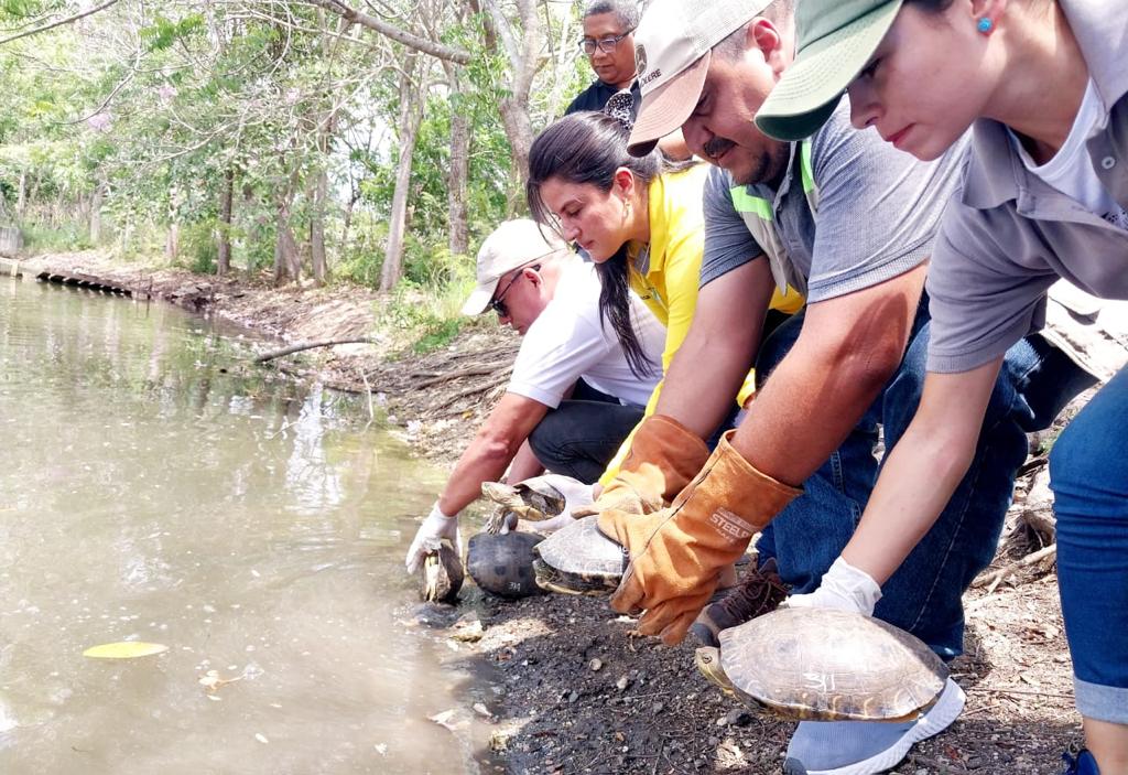 Liberación de especies en Cartagena
