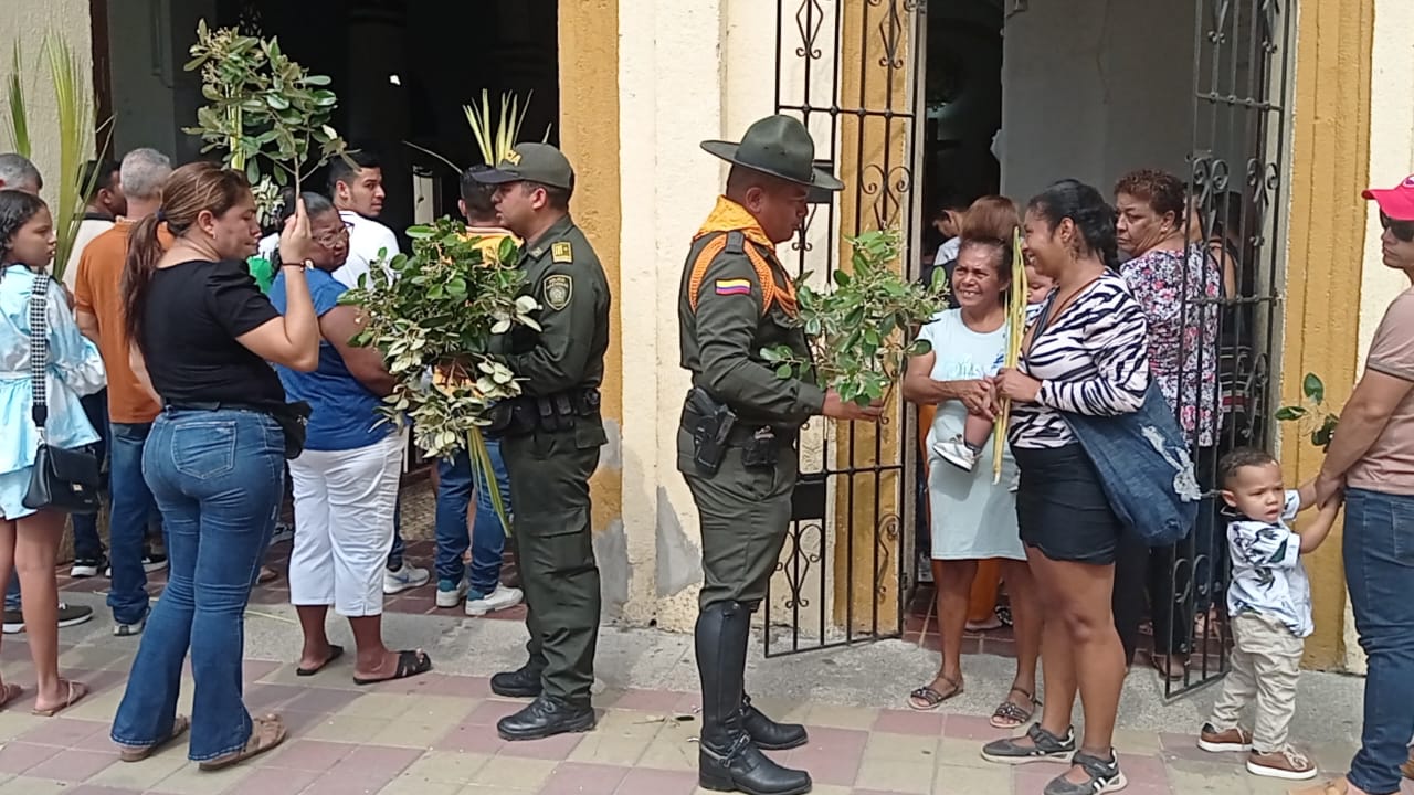 El propósito es desestimular el uso de la Palma de Cera, a través de nuevas alternativas