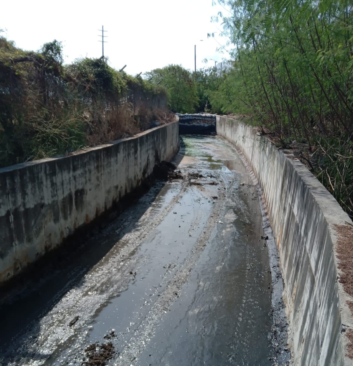 Canal de Santa Clara