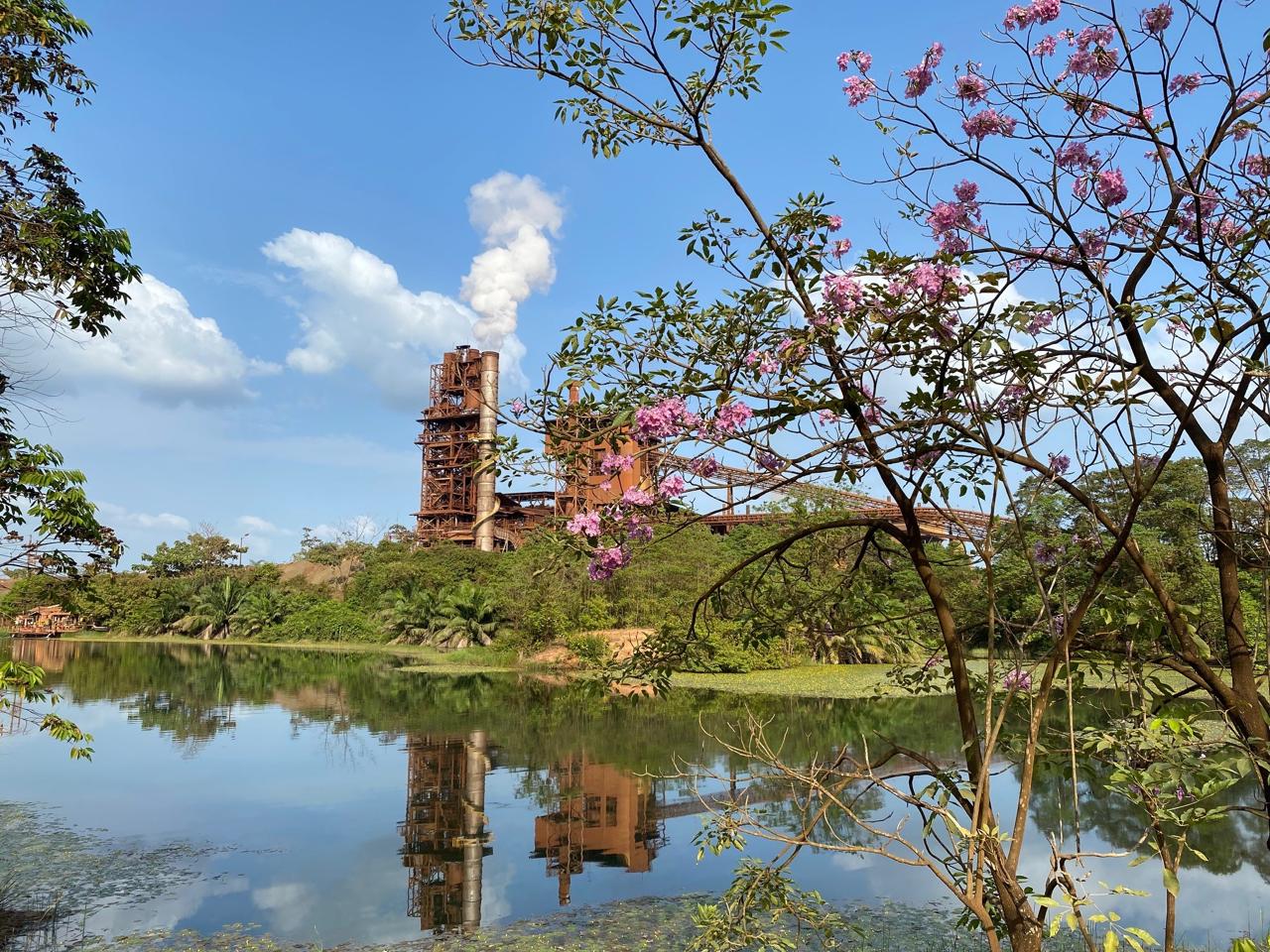 Cerro matoso referencia