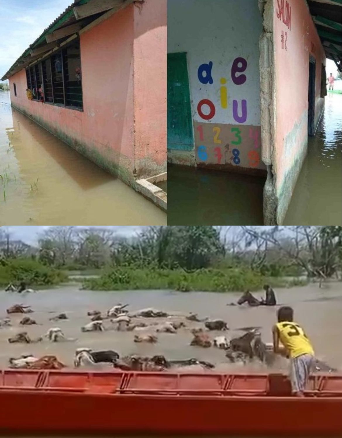Las aulas de clases están inundadas en un 90%