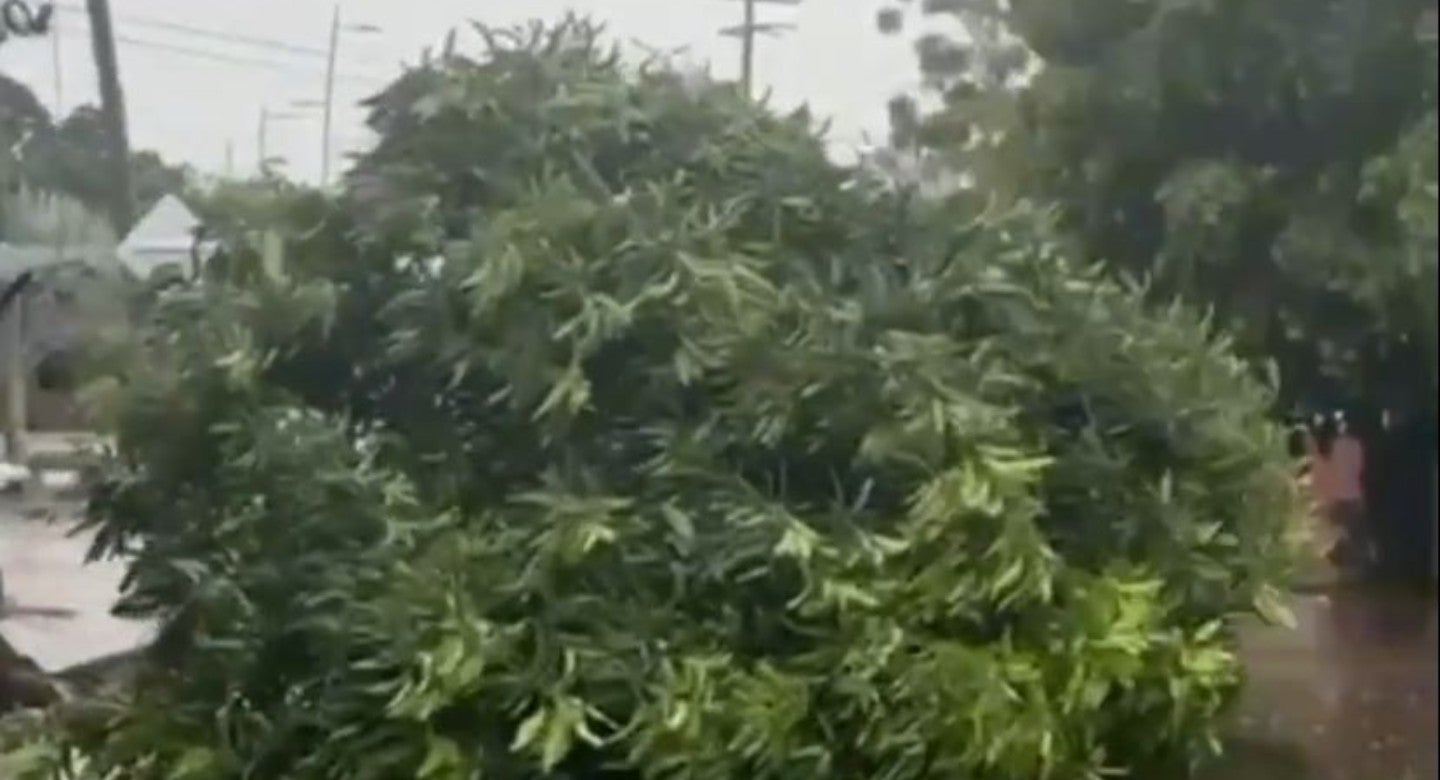 Entre los daños se encuentran la biblioteca municipal, la caída de más de 10 árboles y la afectación de más de 30 viviendas debido a la voladura de sus cubiertas.