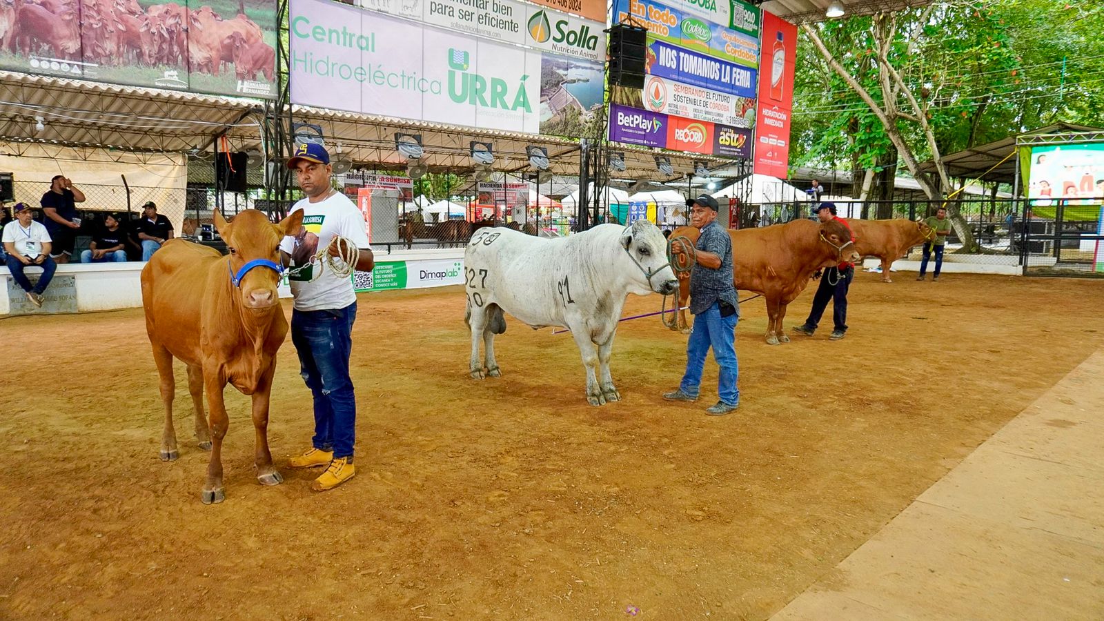 Màs de 300 ganaderìas estaràn este año