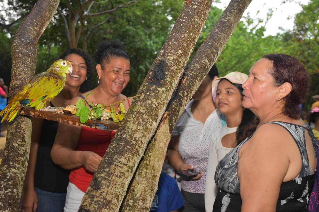 Parque Espíritu del Manglar