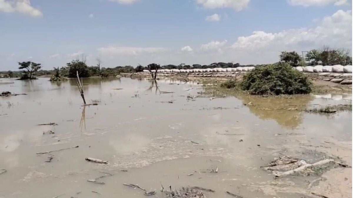 Panorama de inundaciones en La Mojana | Sincelejo | Julio 2024