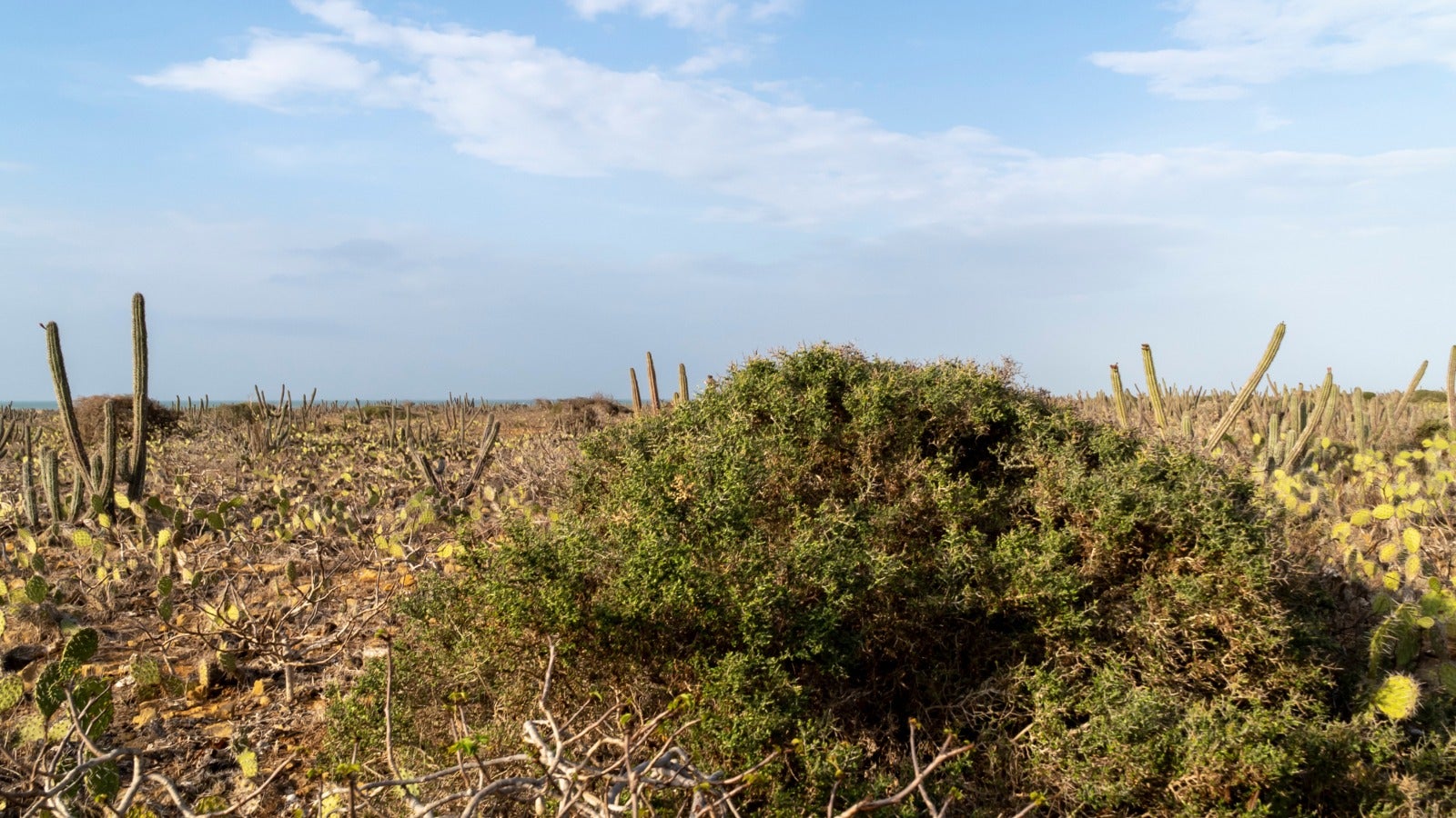 Proyecto para un sistema integral de producción agropecuaria.