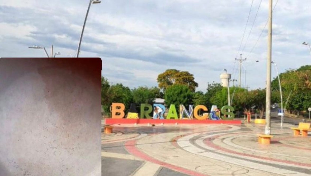 Barrancas, La Guajira.