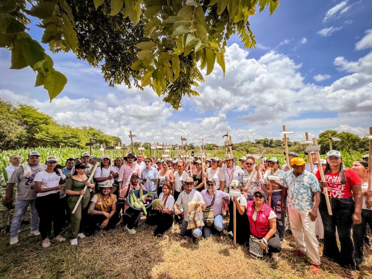 El predio está ubicado en la vía a Planeta Rica- Buenavista.