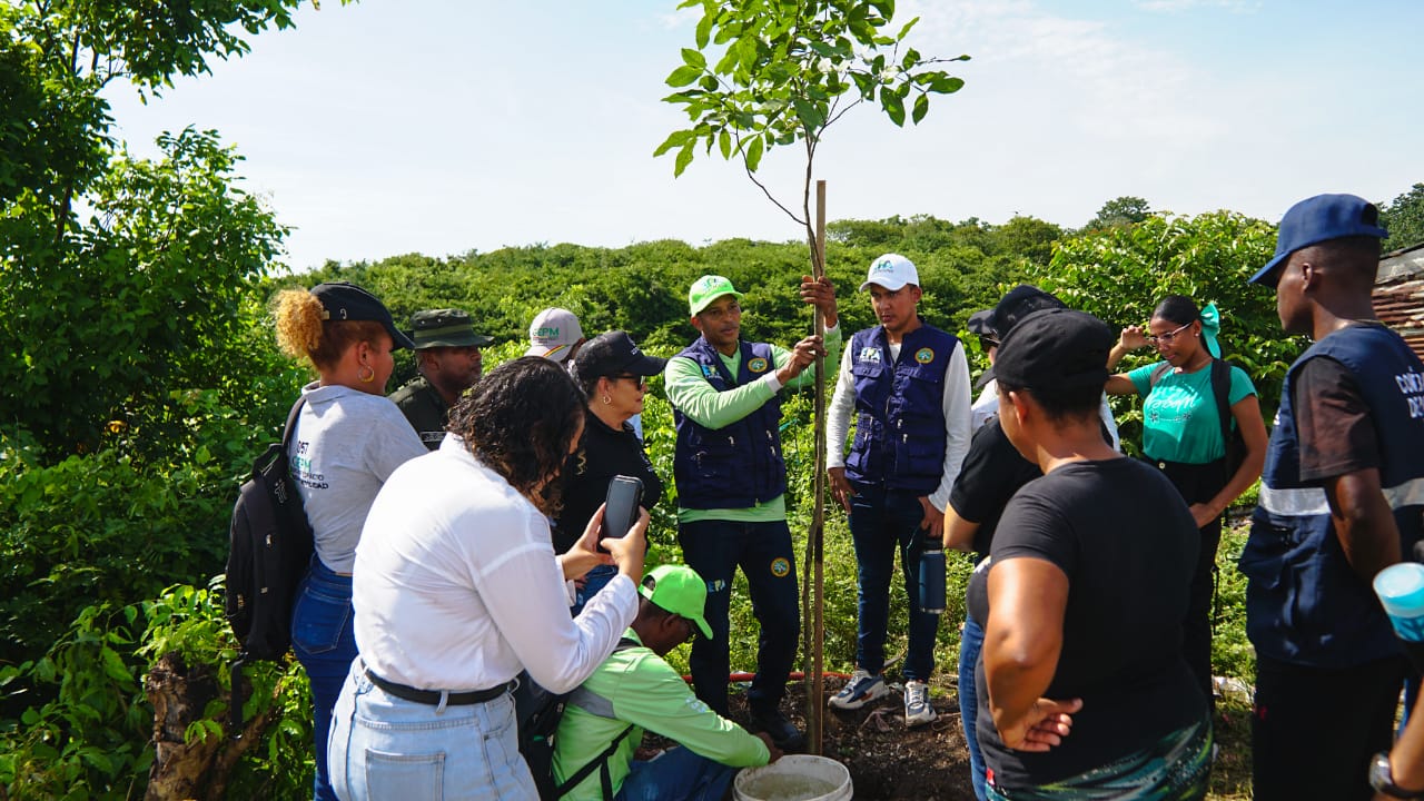 Se realizó jornada de reforestación en el Cerro de la Popa