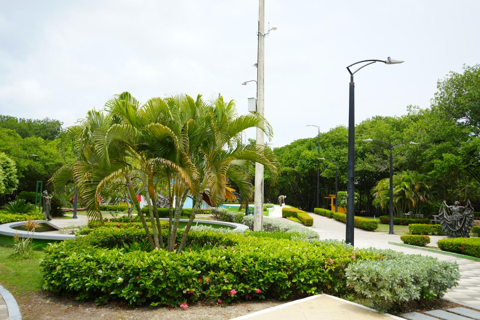 Parque Espíritu del Manglar en Cartagena