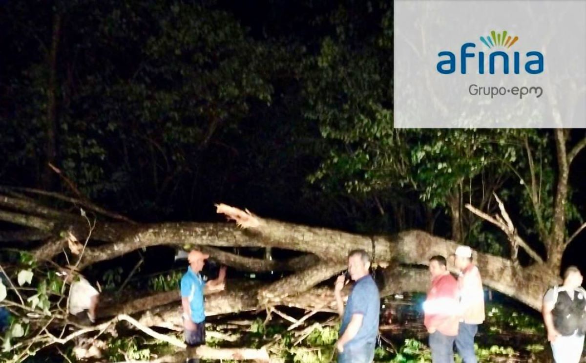 El vendaval ocurrió en la mañana de hoy.