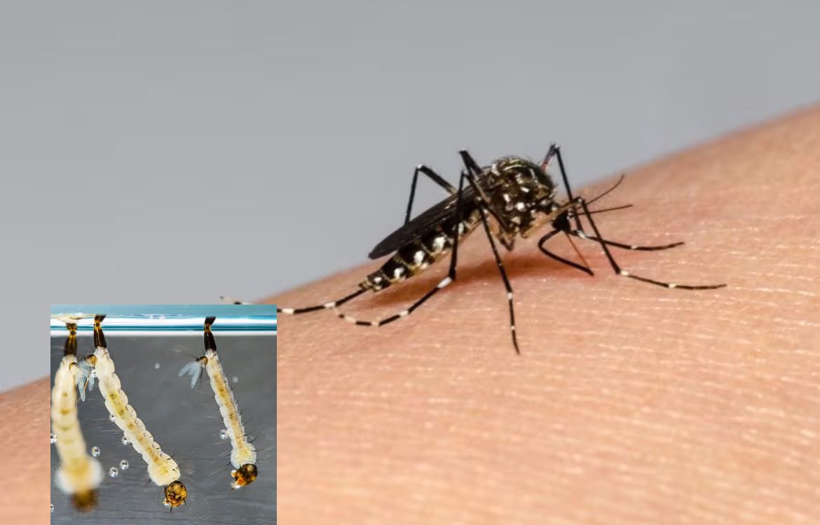 En Sucre, a través de la Secretaría de Salud se ha declarado un estado de alerta