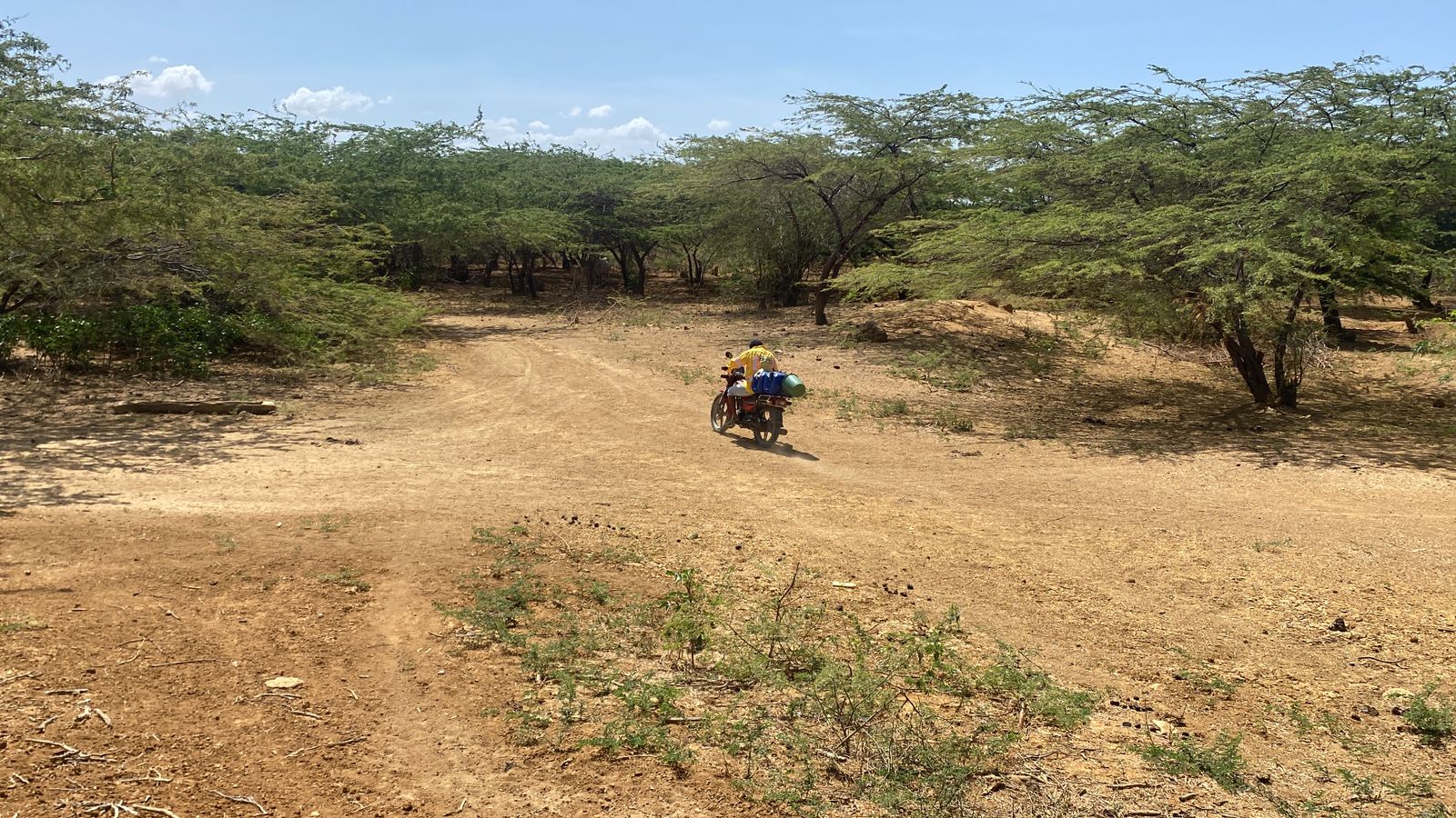 Referencia Alta Guajira comunidades wayúu