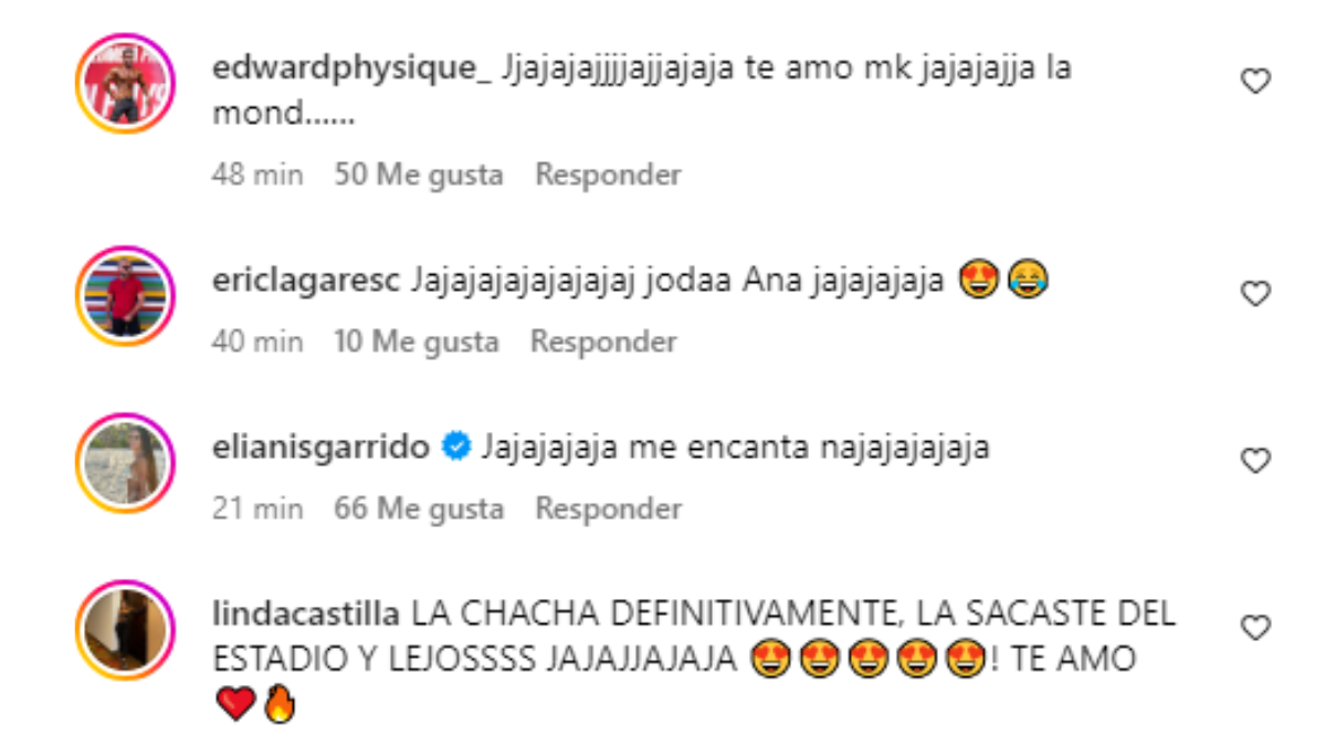 Ana del Castillo comentarios 2