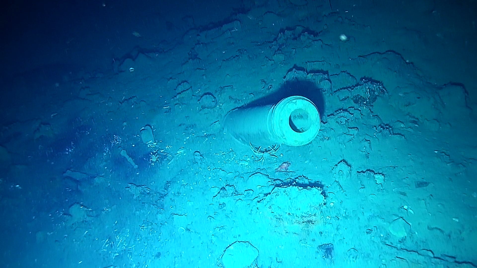 Hacia el corazón del Galeón San José