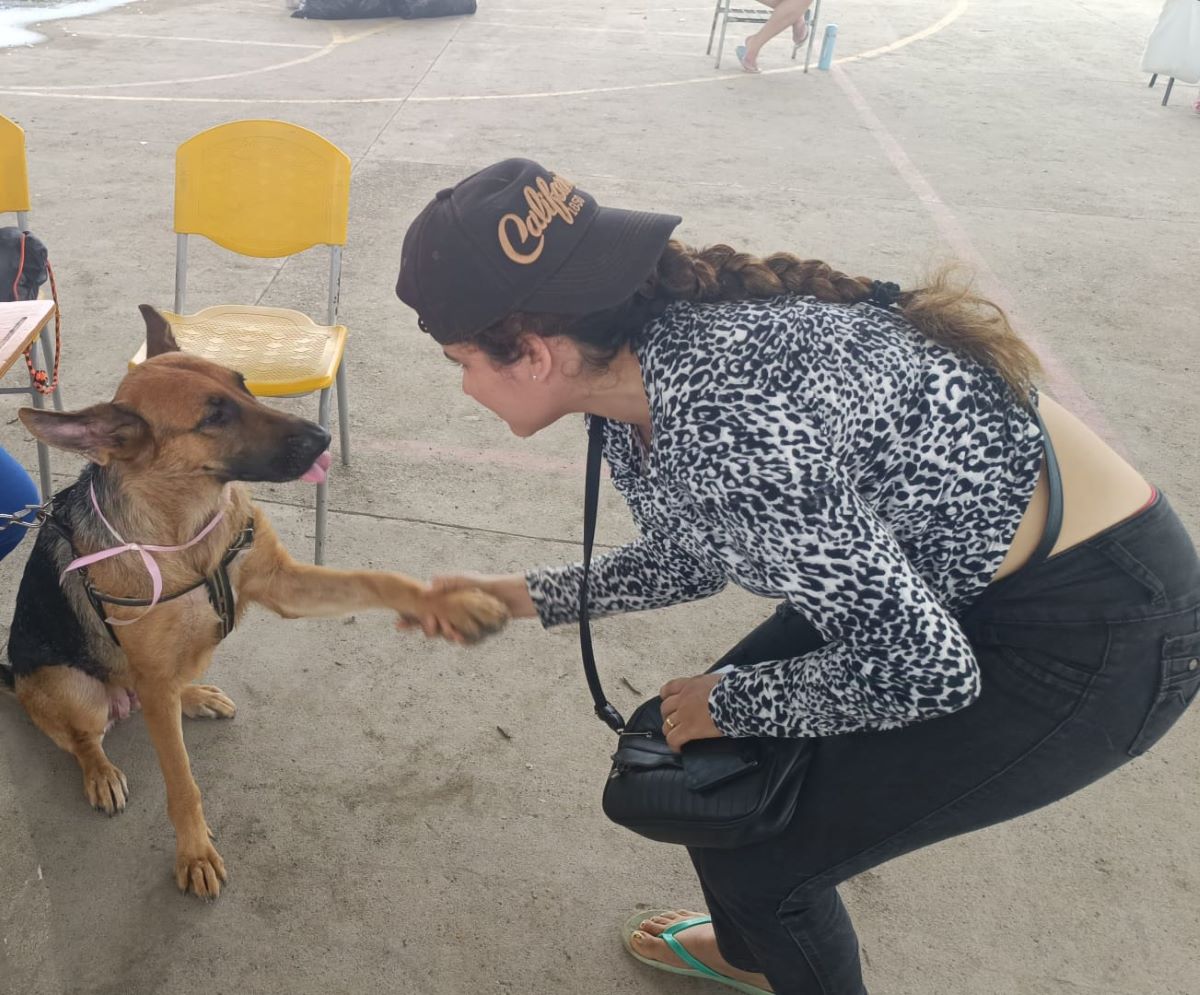 La jornada se cumplió el pasado fin de semana en colegios