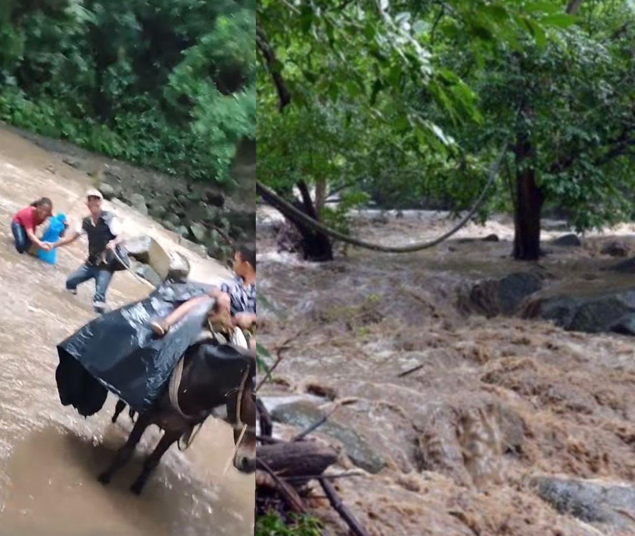 ¡Atención! Emiten alerta roja por creciente súbita de ríos en Santa Marta