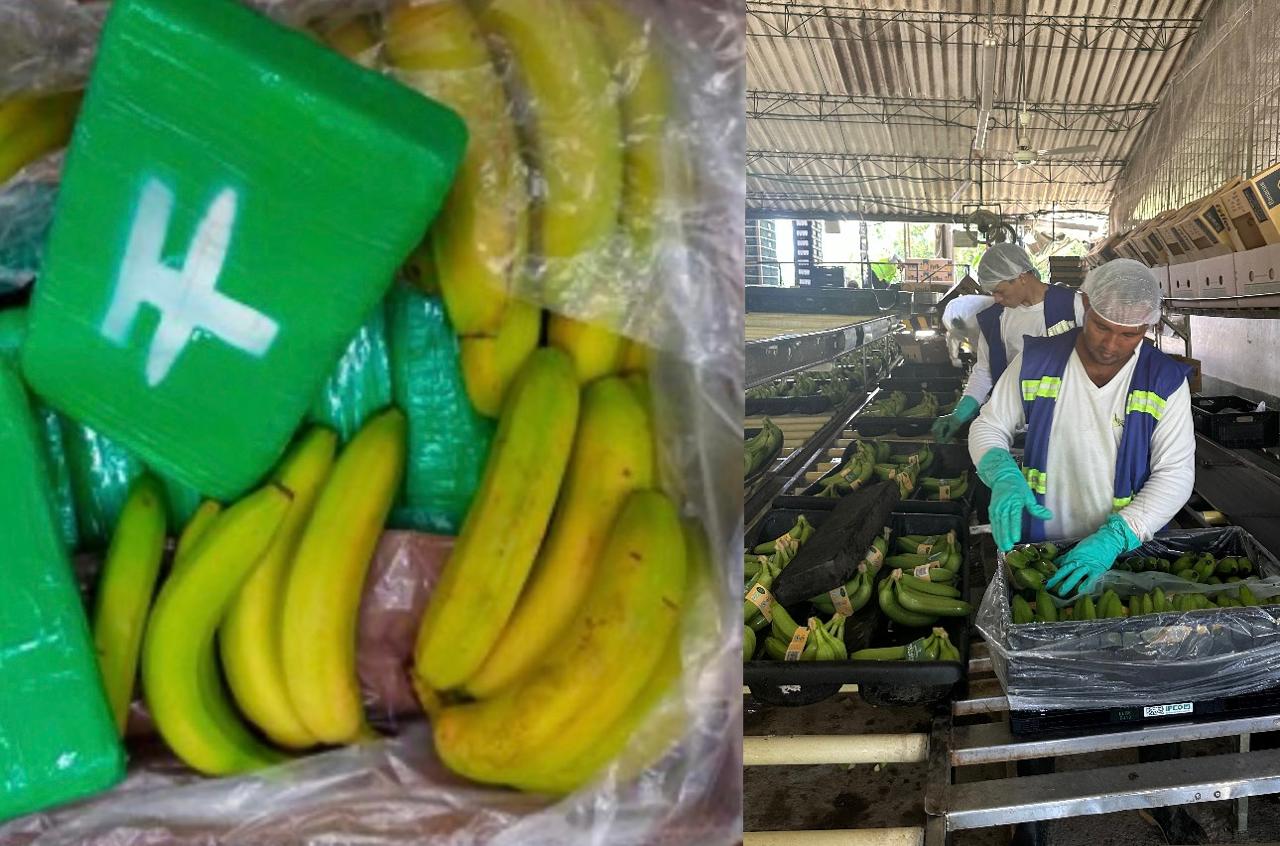 Bananeros del Magdalena se declaran víctimas del narcotráfico y fortalecen protocolos de seguridad
