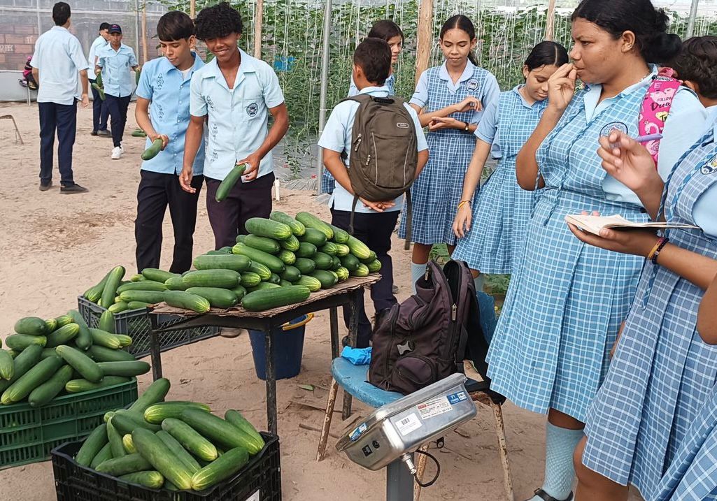 Institución Educativa del Magdalena estará presente en la COP16 con proyecto de agricultura sostenible