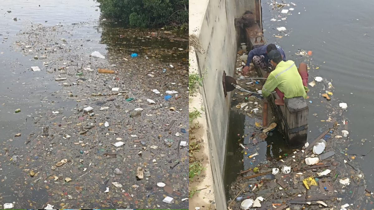 Canales de Cartagena