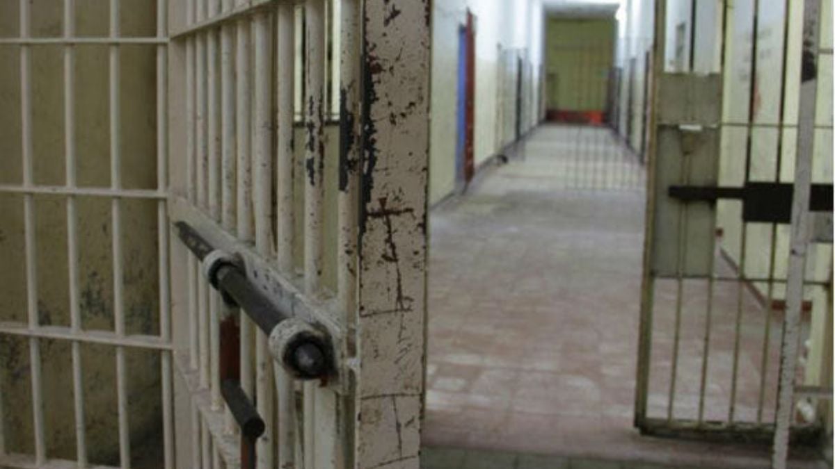 Imagen de referencia