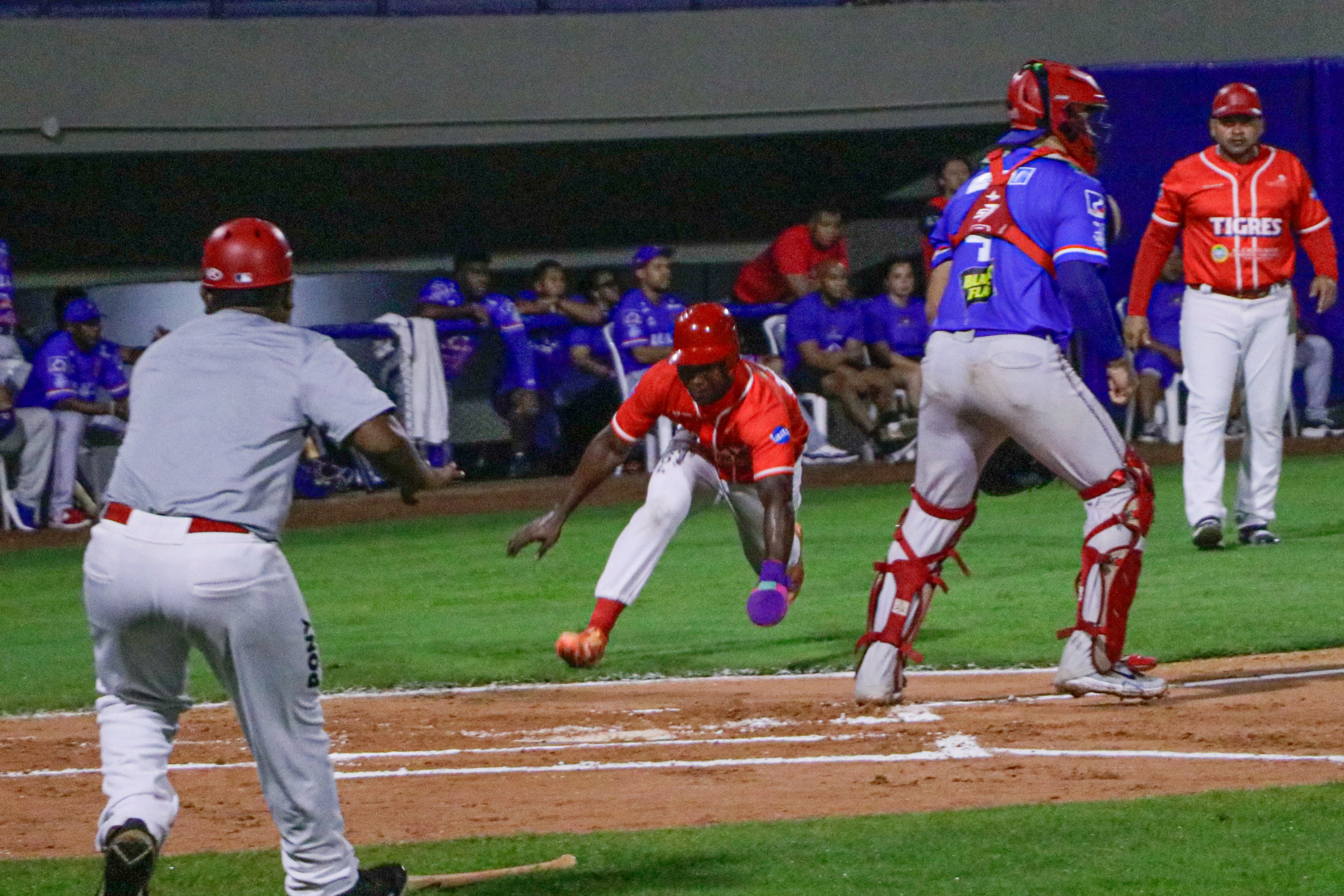 ¡Vuelve y juega! Los Tigres de Cartagena vuelven a caer ante los Caimanes de Barranquilla 03/12/2024