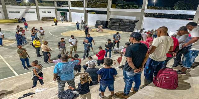 Desplazados Antioquia - 2025