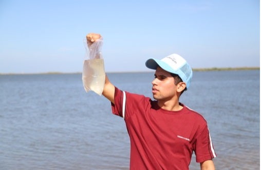 Agua de las Playas de Puerto Mocho