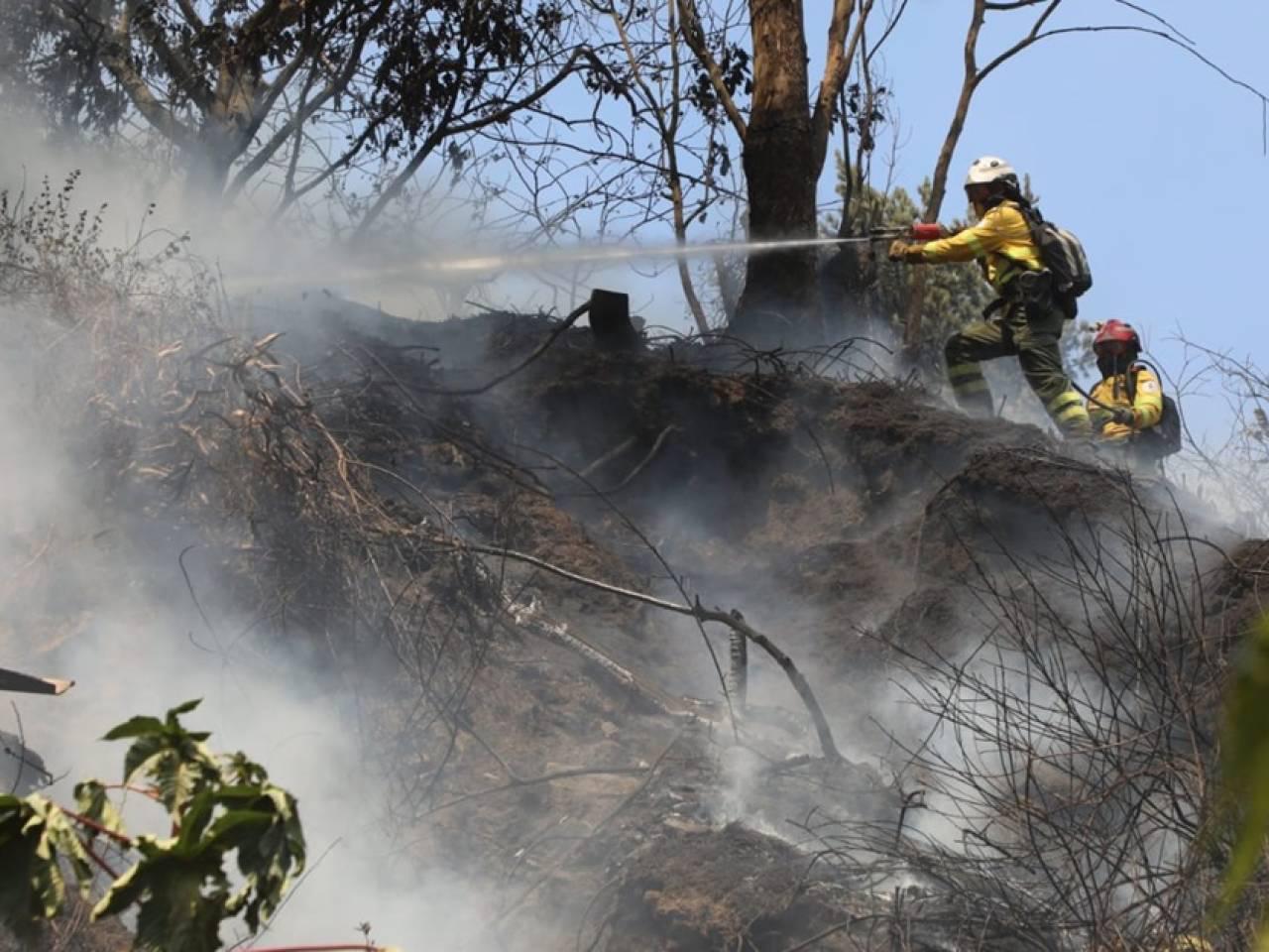 Alerta por riesgo de incendios forestales.