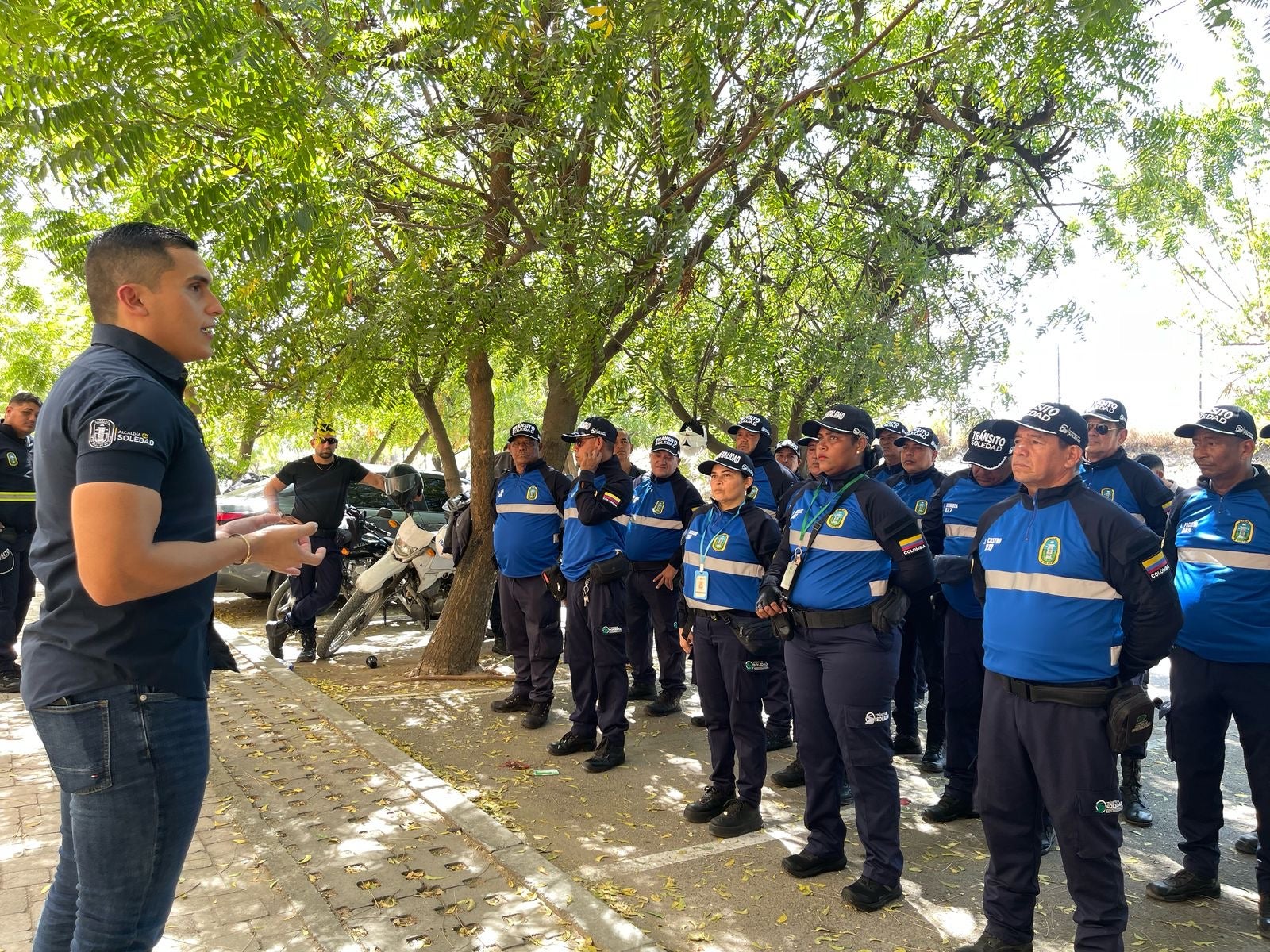 Tránsito de Soledad