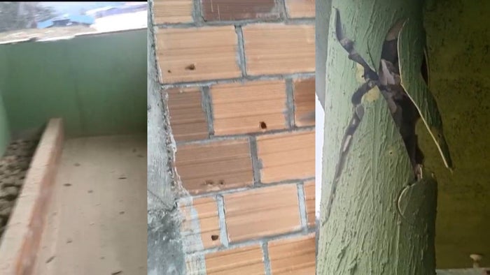 Colegio Mina Cristal, zona rural de Morales, Bolívar