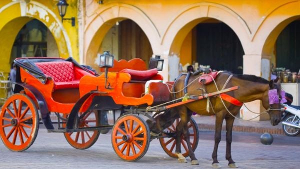 Imagen de referencia caballos en el Centro Histórico de Cartagena