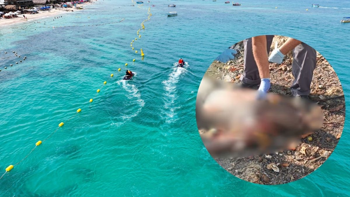 Hallan varios muertos en zona insular de Cartagena