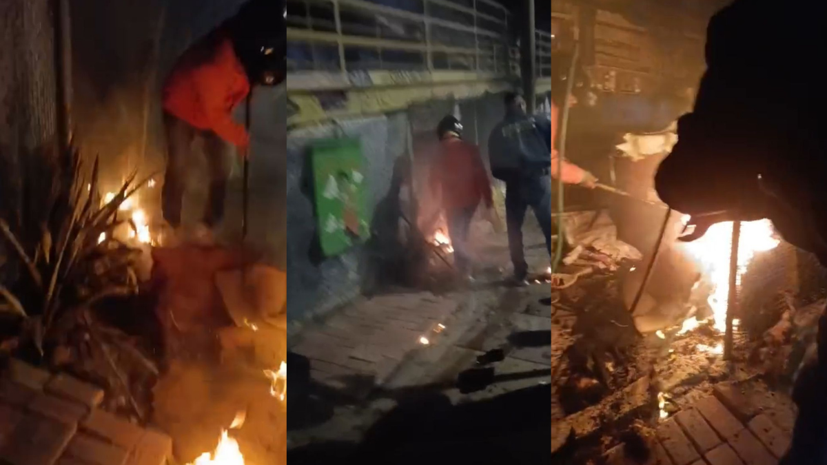 Resguardo de gatos entre La Troncal y Los Caracoles