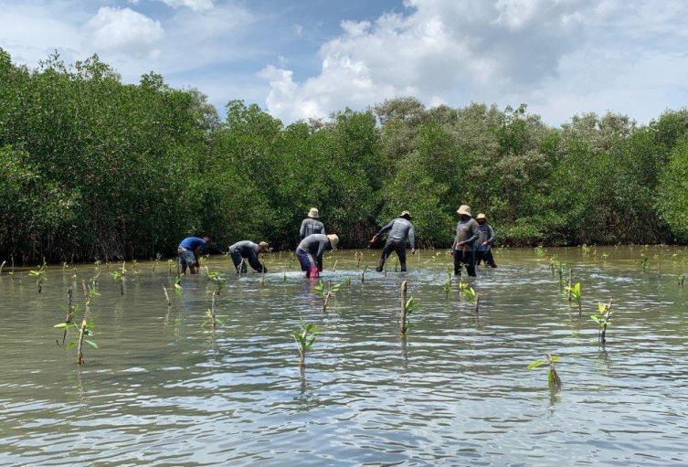 Ciénaga de la Virgen