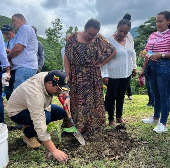 La producción de cacao genera un gran impacto en la economía del departamento.
