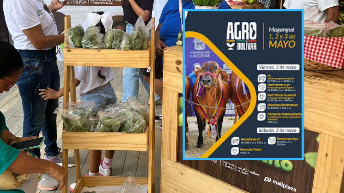 Agro Bolívar 2025