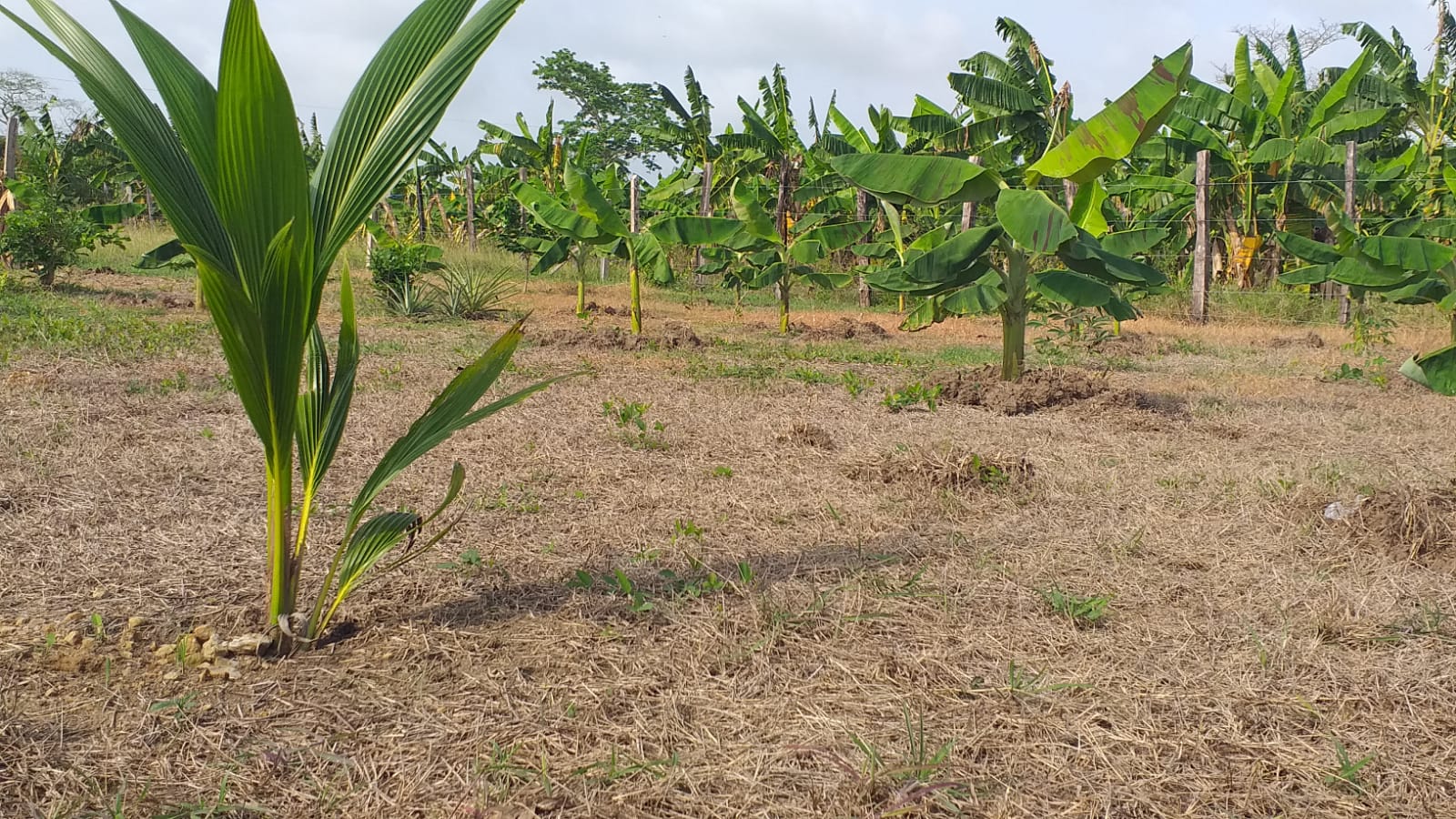 Zona rural de Montería