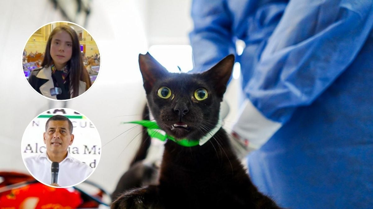 Imagen no relacionada directamente con los hechos