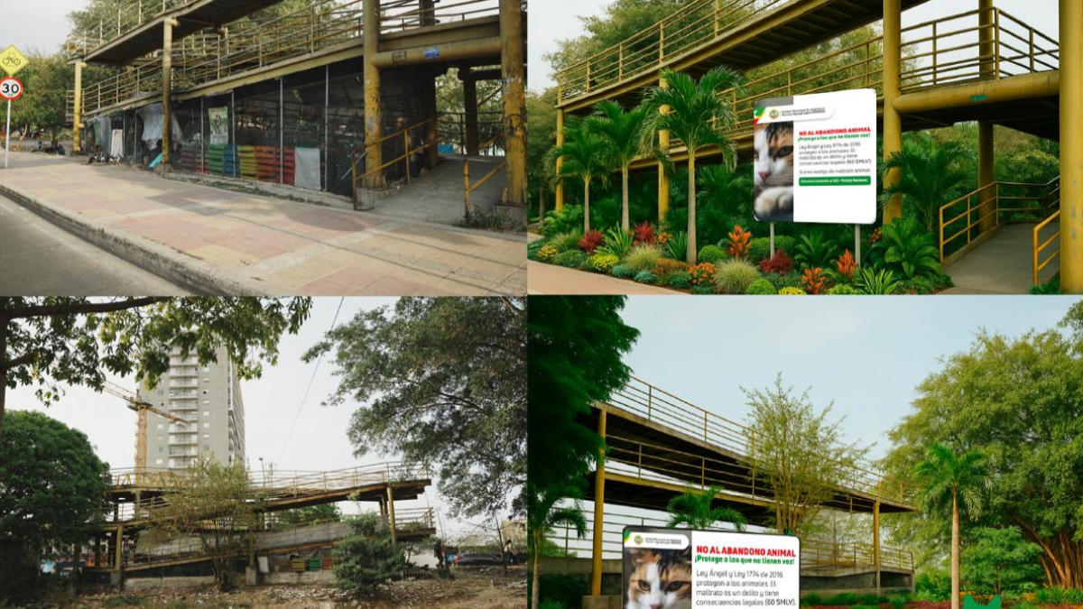 Bajos del Puente Napoleón Perea