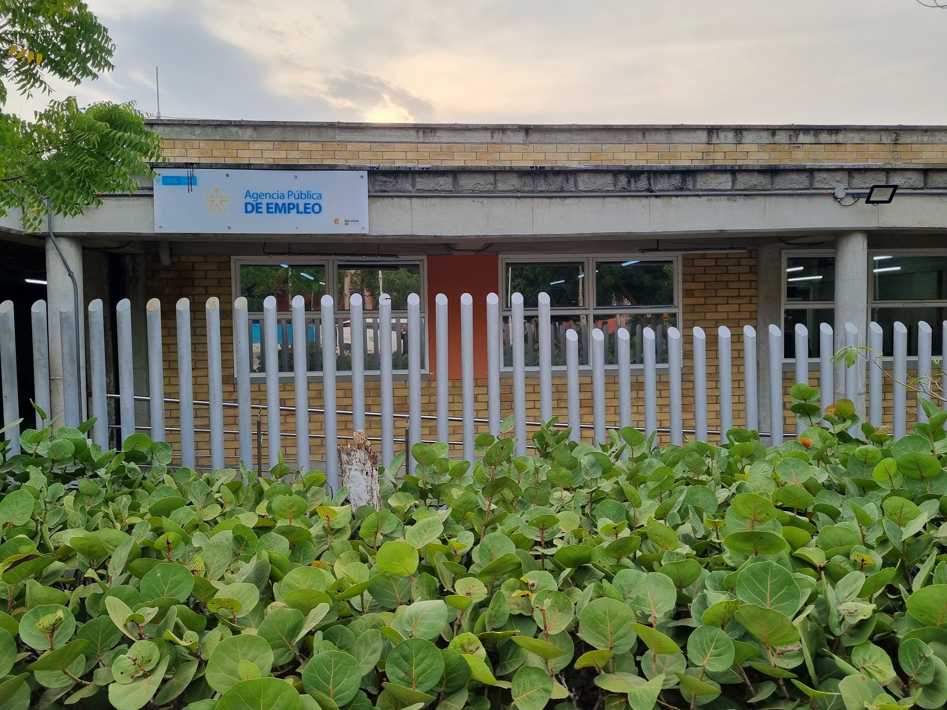 Cerca de 20 jóvenes resultaron afectados