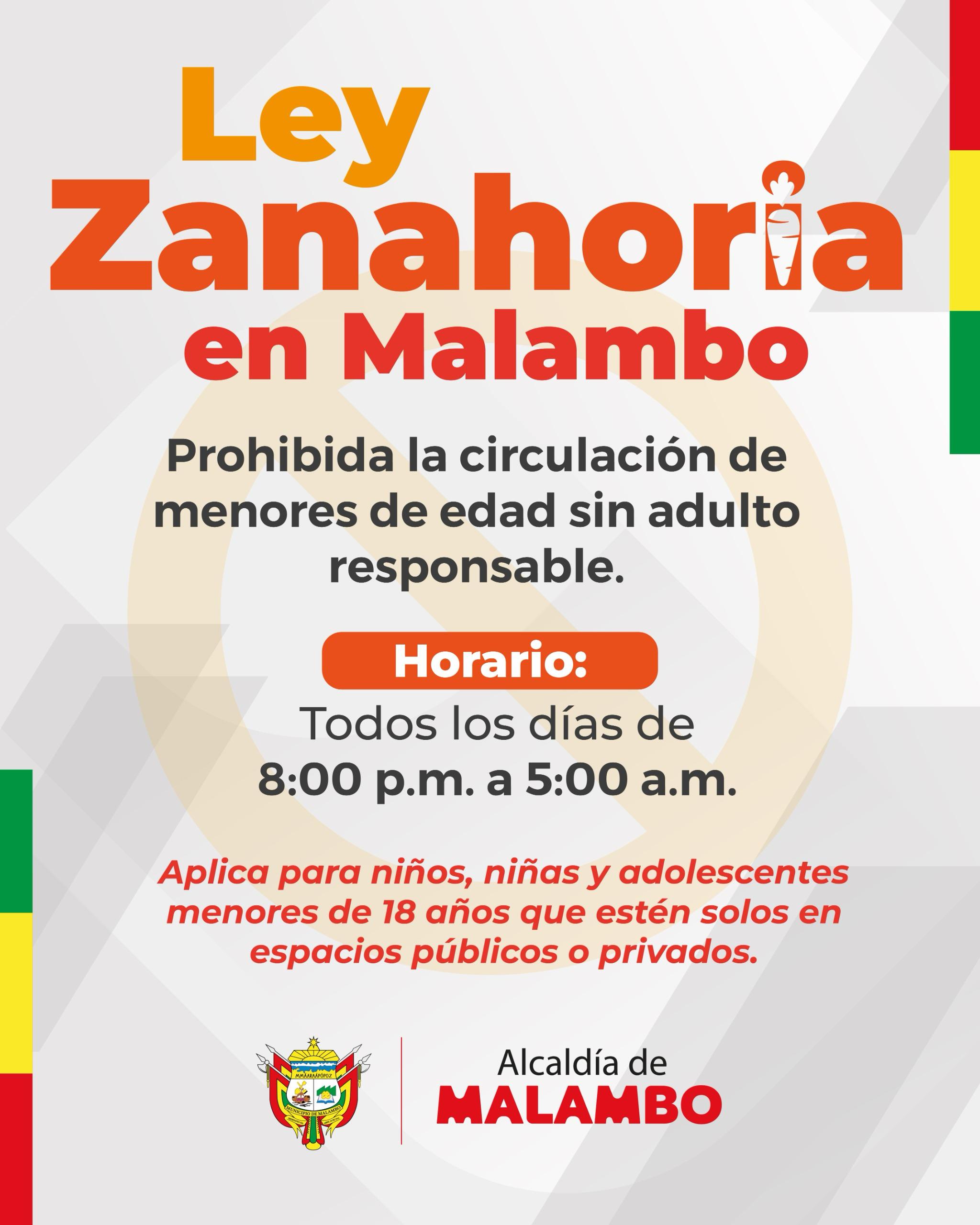 La medida regirá todos los días desde las 8 de la noche hasta las 5 de la mañana