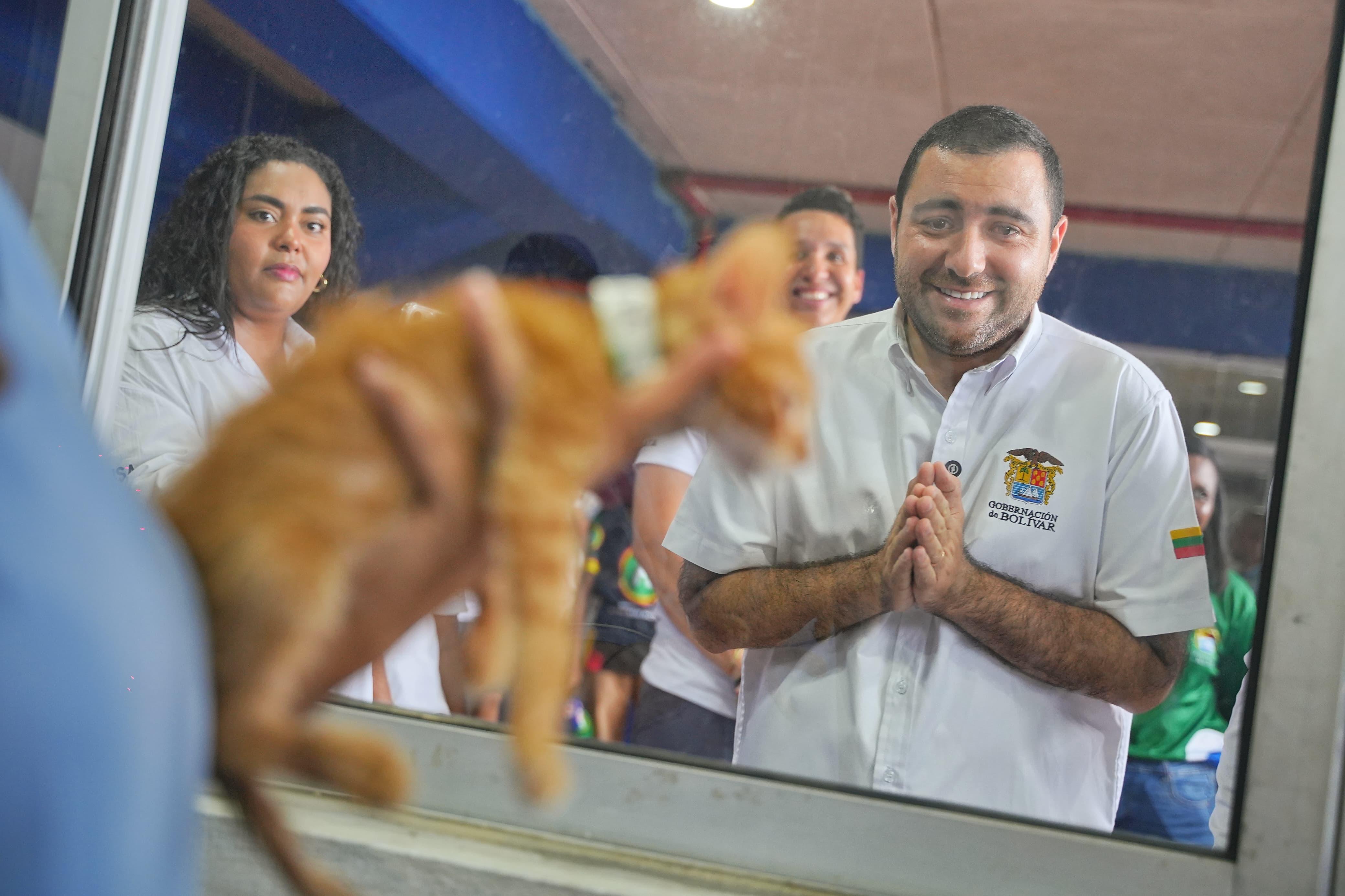 Gobernador y alcalde lideran jornada de adopción felina en Cartagena