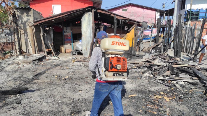 Dadis interviene más de 1.000 hogares en Cartagena para prevenir el dengue y la fiebre amarilla.