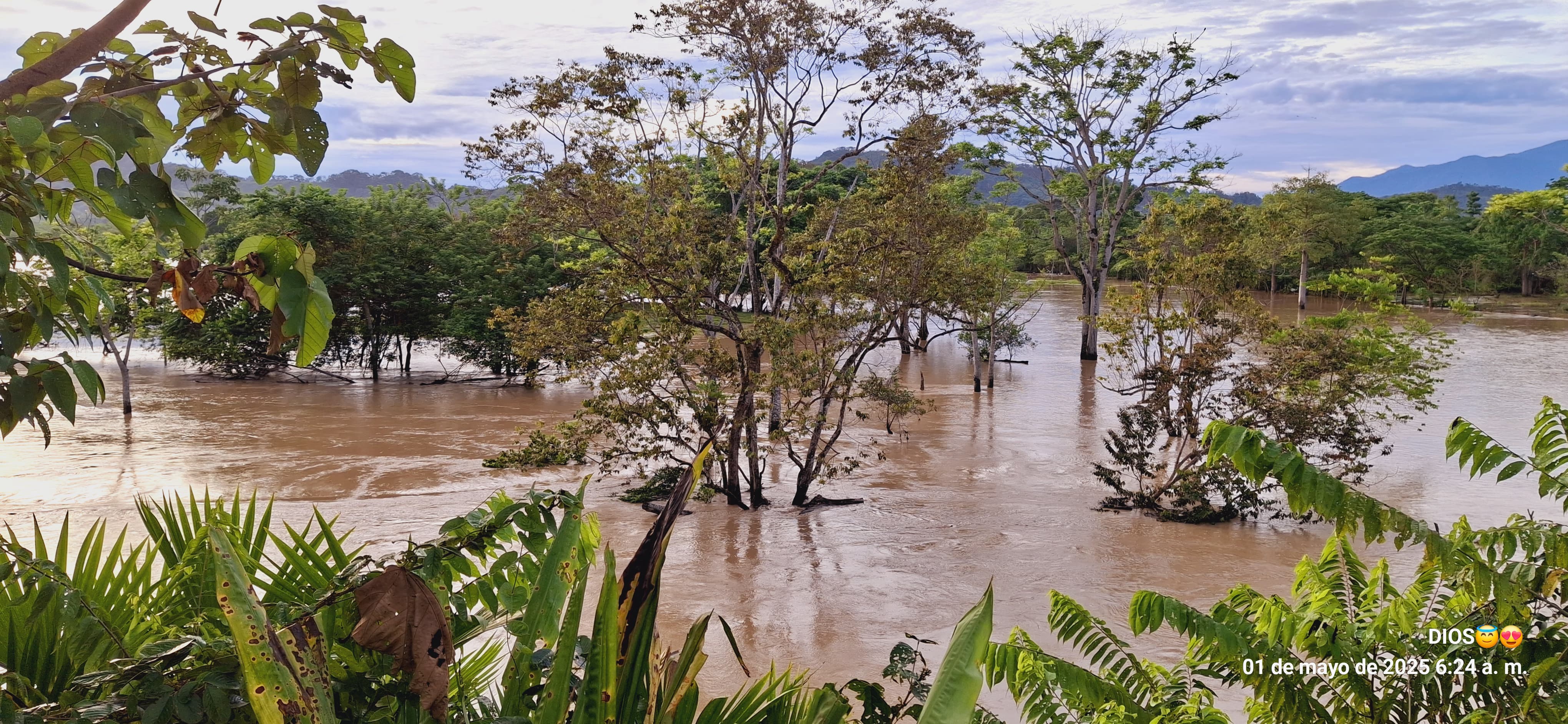 Muchas familias damnificadas