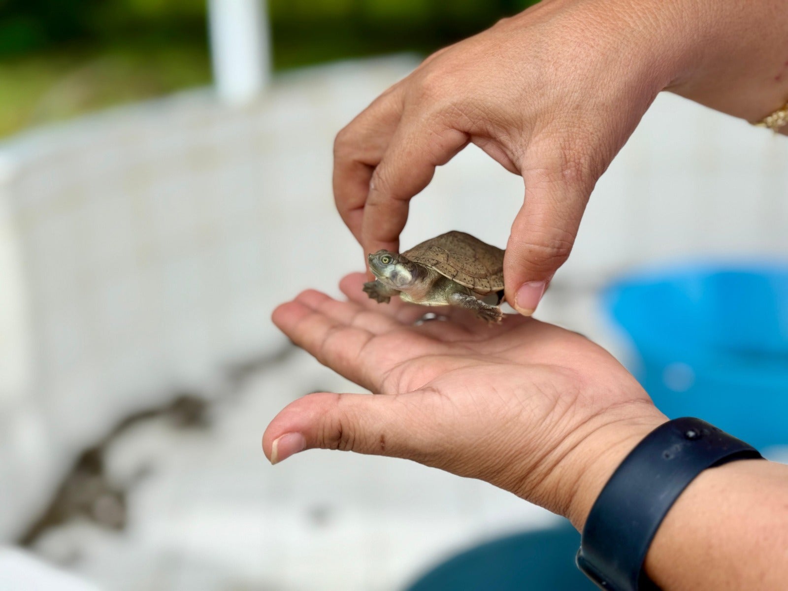 La actividad se cumplió en el bajo sinú