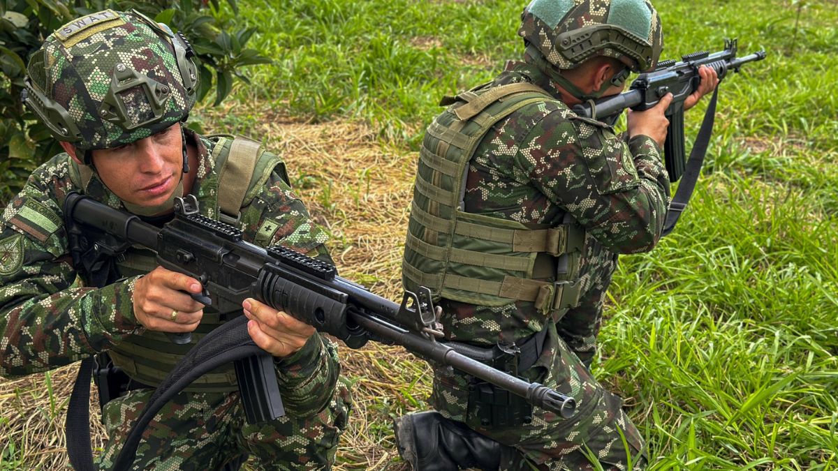 Profesionales del Ejército Nacional
