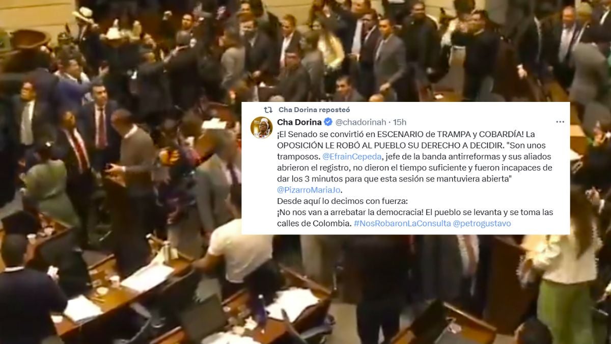 Publicaciones realizadas en redes sociales sobre la postura de la congresista