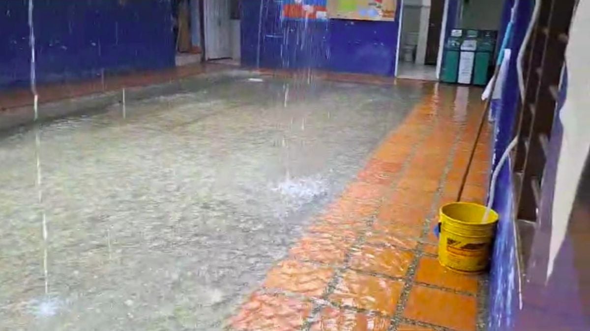 Imágenes compartidas por padres de familia